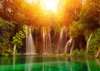 Wall Mural - Cascade on the background of a forest lit by the sun