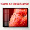 Poster - Red apple, 90 x 60 см, Framed poster, Food and Drinks