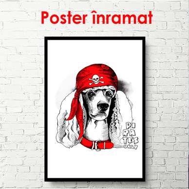 Poster - Poodle într-un capac roșu pe un fundal alb, 60 x 90 см, Poster inramat pe sticla, Minimalism