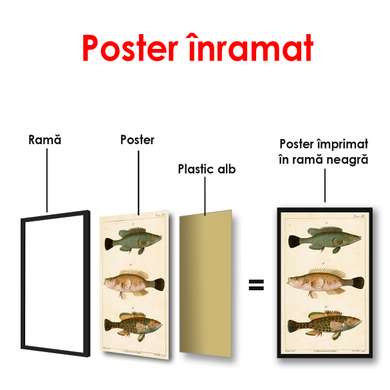 Постер - Рыбки на бежевом фоне, 45 x 90 см, Постер в раме, Винтаж