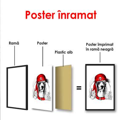 Постер - Пудель в красной кепке на белом фоне, 60 x 90 см, Постер в раме, Минимализм