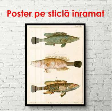 Poster - Pește pe un fundal bej, 45 x 90 см, Poster înrămat, Vintage