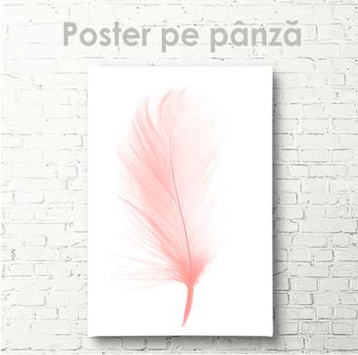 Poster - Pană roz, 60 x 90 см, Poster inramat pe sticla