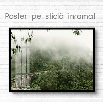 Poster - Podul din jungla înnorată, 90 x 60 см, Poster inramat pe sticla