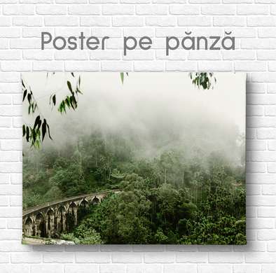 Poster - Bridge in cloudy jungle, 90 x 60 см, Framed poster on glass