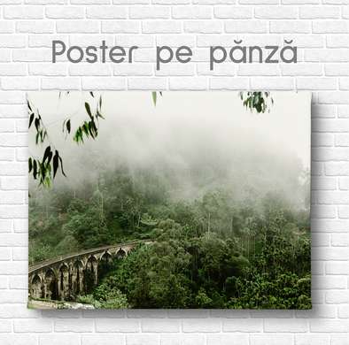 Постер - Мост в пасмурных джунглях, 90 x 60 см, Постер на Стекле в раме, Природа