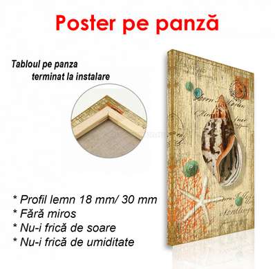 Постер - Ретро картинка с морской ракушкой, 45 x 90 см, Постер на Стекле в раме, Прованс