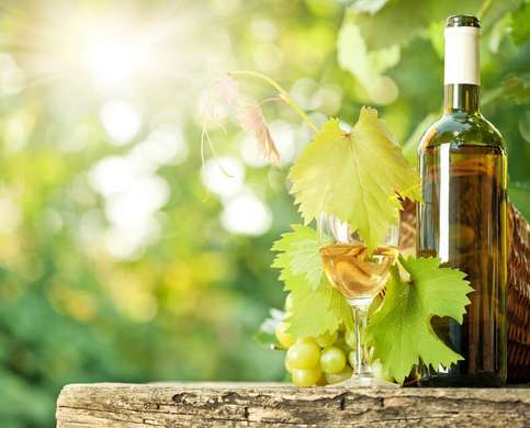 Wall Mural - Bottle of wine on the background of nature