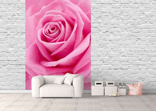 Wall Mural - Pink petals