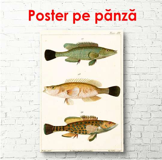 Постер - Рыбки на бежевом фоне, 45 x 90 см, Постер в раме