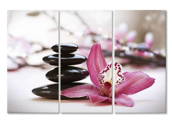 Tablou Pe Panza Multicanvas, Orhidee roz și pietre negre.