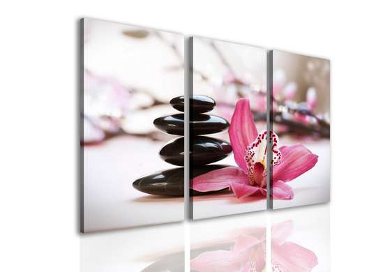 Tablou Pe Panza Multicanvas, Orhidee roz și pietre negre.