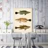 Постер - Рыбки на бежевом фоне, 45 x 90 см, Постер в раме, Винтаж