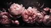 Wall mural - Pink peonies on a black background