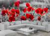 Wall Mural - Beautiful red poppies