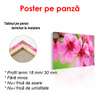 Постер - Розовые весенние цветы на дереве, 90 x 45 см, Постер в раме, Цветы