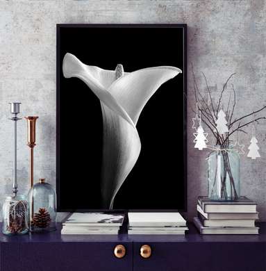 Poster - Crin alb pe fundal negru, 30 x 60 см, Panza pe cadru, Alb Negru