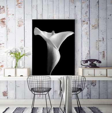 Poster - White lily on a black background, 30 x 60 см, Canvas on frame, Black & White