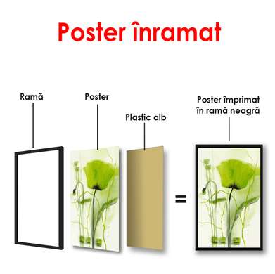 Постер - Зеленый цветок, 60 x 90 см, Постер в раме, Прованс