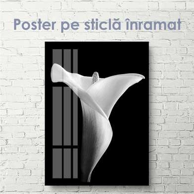 Постер - Белая лилия на черном фоне, 30 x 60 см, Холст на подрамнике, Черно Белые