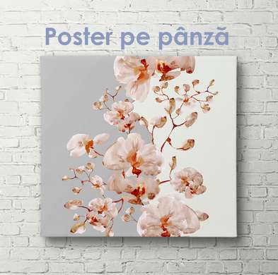 Poster - Ramură de orhidee roz pe fundal alb gri, 40 x 40 см, Panza pe cadru, Botanică