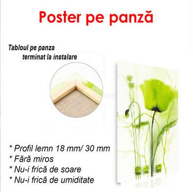 Poster - Floarea verde, 60 x 90 см, Poster înrămat, Provence