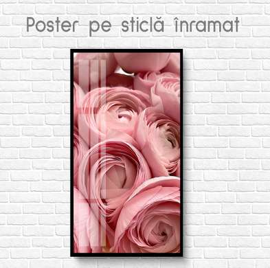 Poster - Peony roses, 30 x 60 см, Canvas on frame
