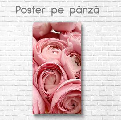 Poster - Peony roses, 45 x 90 см, Framed poster on glass, Flowers