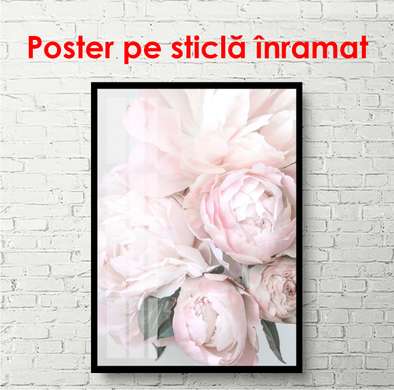 Poster - Cel mai delicat buchet de bujori, 30 x 60 см, Panza pe cadru, Flori