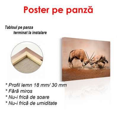 Poster, Capre de munte, 90 x 60 см, Poster înrămat, Animale