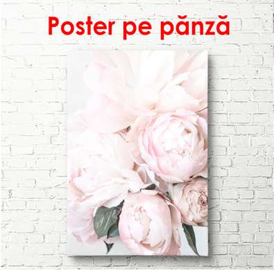 Poster - Cel mai delicat buchet de bujori, 30 x 60 см, Panza pe cadru, Flori