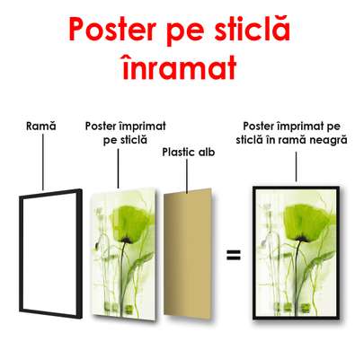 Постер - Зеленый цветок, 60 x 90 см, Постер в раме, Прованс
