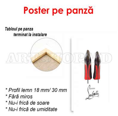 Poster - Christian Louboutin Shoes, 30 x 60 см, Canvas on frame, Minimalism