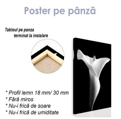 Poster - Crin alb pe fundal negru, 30 x 60 см, Panza pe cadru, Alb Negru