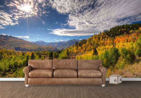 Wall Mural - Bench and tree on the background of the lake and mountains