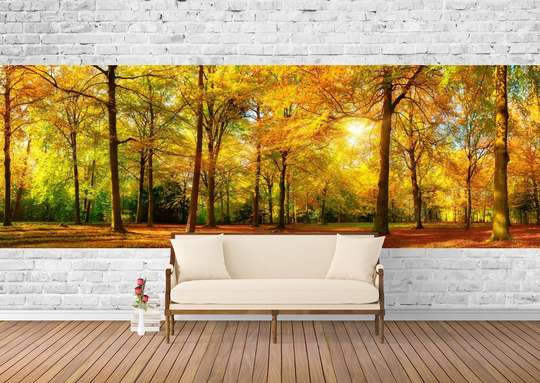 Wall Mural - Panorama of the autumn forest