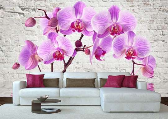 Wall Mural - Pink orchid on a background of white bricks