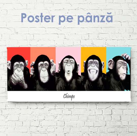 Poster, Maimuțele fac expresii faciale, 90 x 30 см, Panza pe cadru, Animale