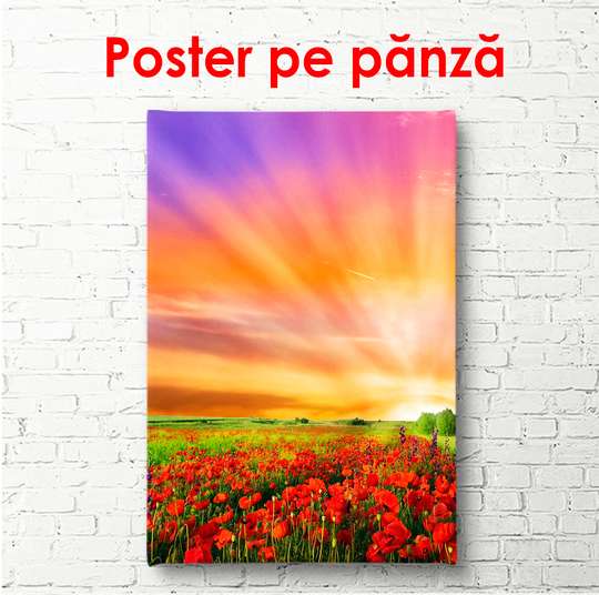Постер - Маковое поле на рассвете, 60 x 90 см, Постер в раме, Цветы