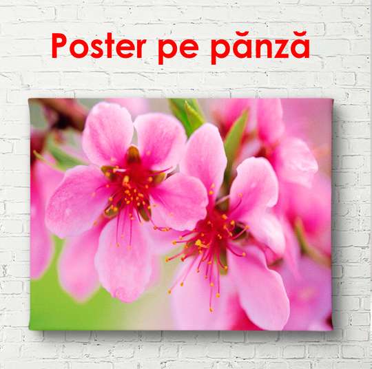 Poster - Pink spring flowers on a tree, 90 x 45 см, Framed poster