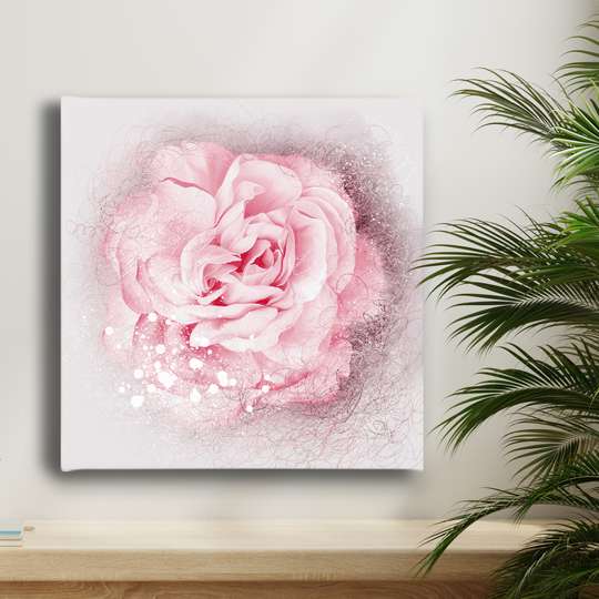 Poster, Trandafir roz pal pe fundal alb, Panza pe cadru