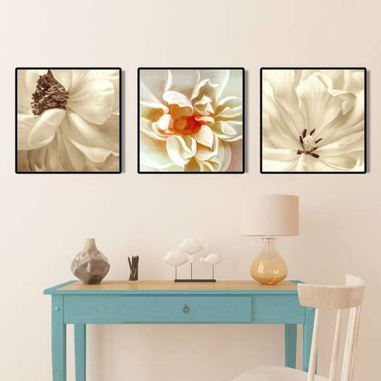 Poster - Delicate flowers, 80 x 80 см, Framed poster on glass, Sets