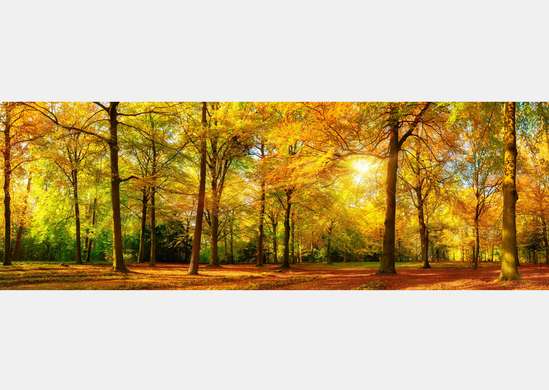 Wall Mural - Panorama of the autumn forest