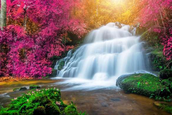 Wall Mural - Waterfall and pink trees.
