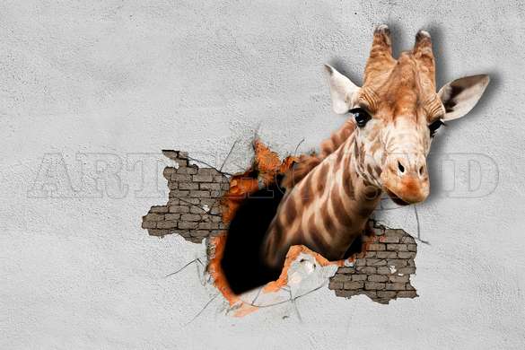 Wall Mural - Giraffe on a broken wall