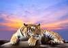 Фотообои - Тигр на фоне заката