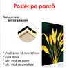 Poster - Plantă solară, 60 x 90 см, Poster înrămat, Glamour