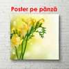 Poster - Yellow flowers on a gentle background, 100 x 100 см, Framed poster on glass, Flowers