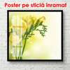 Poster - Flori galbene pe un fundal delicat, 100 x 100 см, Poster înrămat, Flori