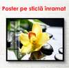 Poster - Yellow orchid on a stone, 90 x 60 см, Framed poster, Flowers